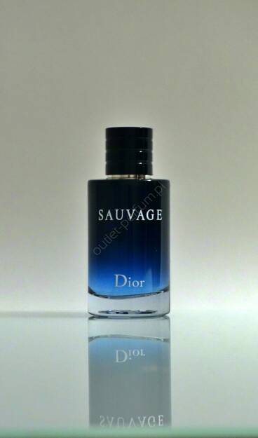 Dior hotsell sauvage 100ml